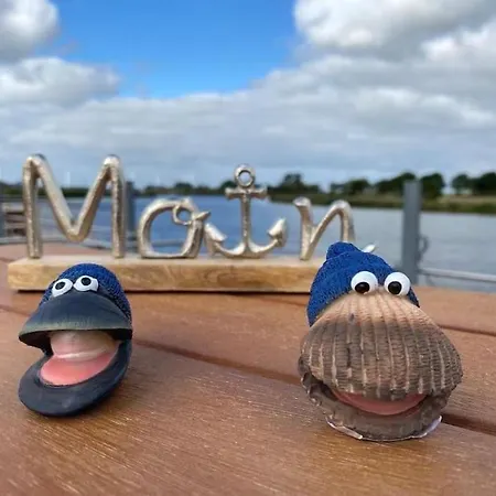 Hausboot Optimo Mit Hund Botel Schillig