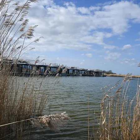 Hausboot Optimo Mit Hund Botel Schillig